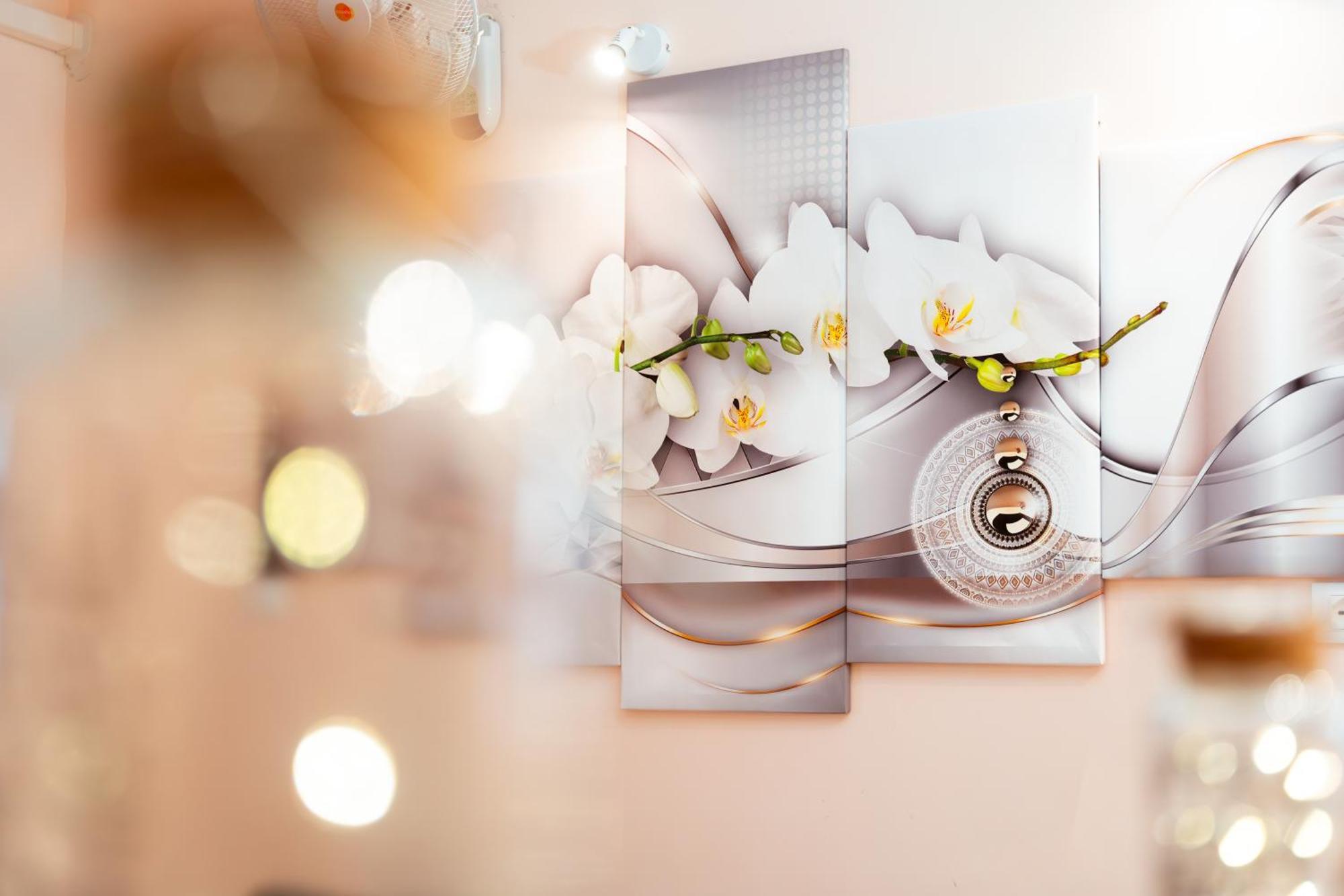 רומא Ortensie Home מראה חיצוני תמונה